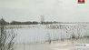 Паводковые воды подтопили частные подворья в двух районах Гродненской области