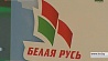 "Белая Русь" намерена  активно участвовать в кампании по выборам президента страны