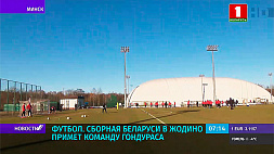 Сборная Беларуси по футболу примет команду Гондураса в Жодино 