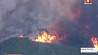 Критической остается ситуация с лесными пожарами в США