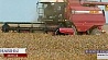 Аграрии Минской области сегодня получили первый миллион тонн зерна