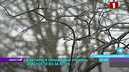 Циклон "Мирелла" принес ветреную погоду в Беларусь - объявлен оранжевый уровень опасности 