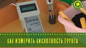 Как измерить кислотность грунта - в программе "Дача"