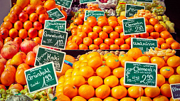 Литва планирует ввести продовольственные карточки