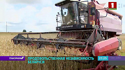 Эксперты: Дефицит продовольствия не грозит ни Беларуси, ни России