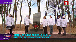 В деревне Вышково благоустраивали мемориалы и обелиски, убирали территорию