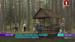 Акция "Чистый лес" пройдет в Беларуси 9 октября 
