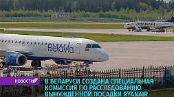 В Беларуси создана специальная комиссия по расследованию вынужденной посадки самолета Ryanair 