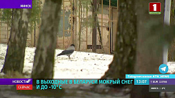 В Беларуси в выходные мокрый снег и до -10°С