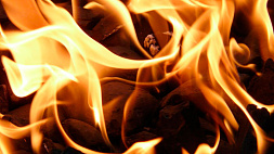 Спасатели ликвидировали пожар на деревообрабатывающем предприятии в Борисове