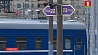Поезд Минск - Москва в дороге, вероятно, сбил лося 