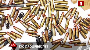 Пенсионер из Барановичского района нашел более 100 патронов на приусадебном участке