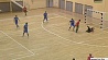 Минский "Дорожник" в седьмой раз побеждает в Кубке Беларуси по мини-футболу