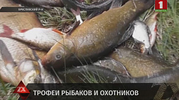 В Брасловском районе госинспекторы задержали нелегального рыбака 