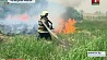 С началом лета специалисты отмечают повышение уровня пожароопасности