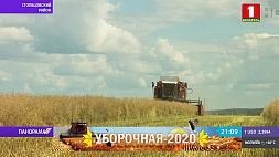 Аграрии Минской области приступили к уборке озимых и уверены: показатели превысят прошлогодние 