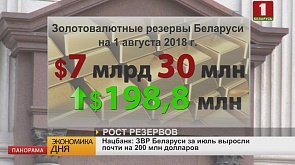 Нацбанк: ЗВР Беларуси за июль выросли почти на 200 млн долларов