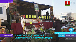 В Минске  работают около 200 сельхозярмарок