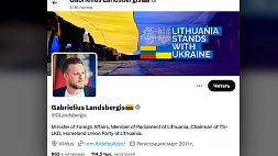 Предложение Макрона об отправке войск западных стран в Украину заслуживает рассмотрения? Реакция политиков Литвы и Эстонии