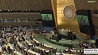 Генассамблея ООН приняла проект резолюции о борьбе с героизацией нацизма