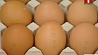 Яйца из Европы в Беларусь не импортируются
