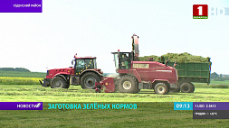 Заготовка зеленых кормов - в Беларуси убирают травы первого укоса