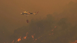 В Чили бушуют лесные пожары - погибли уже 46 человек