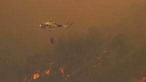 В Чили бушуют лесные пожары - погибли уже 46 человек