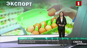 Минсельхозпрод: Беларусь в начале года вдвое нарастила поставки яиц в Россию