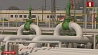 Чистая нефть поступила по нефтепроводу "Дружба" на границу Беларуси