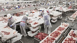 Прокуратура Минской области потребовала приостановить деятельность трех мясоперерабатывающих предприятий