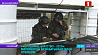 Миротворческие контингенты стран ОДКБ приступили к подготовке операции в зоне ответственности