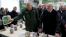 Лукашенко обозначил следующий шаг для БНБК