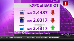 Курсы валют на 9 ноября: белорусский рубль укрепился к доллару и евро