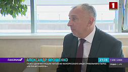 Александр Ярошенко о новых преференциях для крупных инвесторов в "Великом камне"