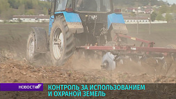 Прокуратура Беларуси провела проверку по вопросам охраны и использования земель 