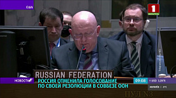 Россия отменила голосование по своей резолюции в Совбезе ООН