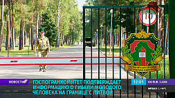 Госпогранкомитет Беларуси подтверждает информацию о гибели молодого человека на границе с Литвой