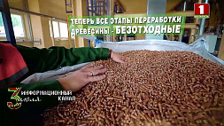 Белорусские пеллеты - популярный товар на фоне высоких цен на энергоносители
