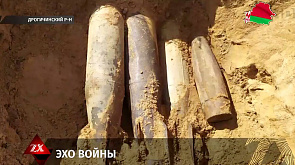 Снаряды времен Великой Отечественной войны обнаружены в Дрогичинском районе
