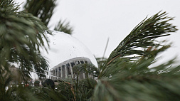 Мокрый снег и гололедица ожидаются в Беларуси 30 декабря
