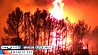В испанской провинции Жирона  бушует сильный лесной пожар