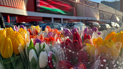 Минск готовится к 8 Марта - узнали, во сколько обойдется букет тюльпанов