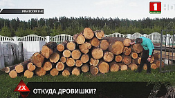 Факты хищения леса в Ивьевском,  Ивацевичском районе и в Смолевичском лесхозе