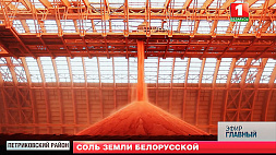 Новый город шахтеров: в Петрикове состоялся запуск горно-обогатительного комплекса