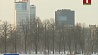 Погода в Беларуси бьет рекорды