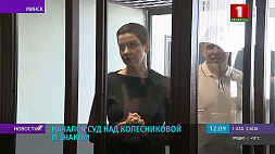 Суд над Колесниковой и Знаком начался в Минске - они обвиняются по трем уголовным статьям
