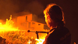 Жители Сицилии бегут от лесных пожаров, помощи пожарных на всех не хватает