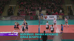 Финал женского Кубка Беларуси по волейболу - прямая трансляция 24 декабря на "Беларусь 5"