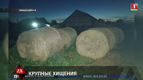 Хищение 22 рулонов сена обнаружили в одном из хозяйств Любанского района